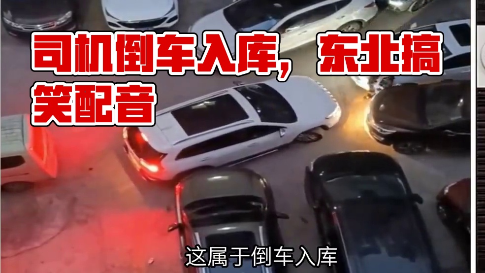 东北话搞笑配音，司机被包围，施展倒车入库 东北话搞笑配音，司机被包围，施展倒车入库#搞笑配音 #搞笑