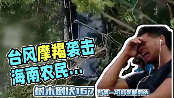 #台风摩羯过后  损失的不仅是住房和家具，还有未来的生计#台风摩羯 #海南 #农民 #灾难