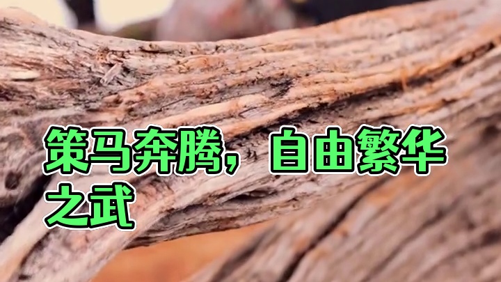 策马奔腾共享人世繁华。#感觉至上 #武侠 #自由是灵魂的氧气 #远离喧嚣 #随拍