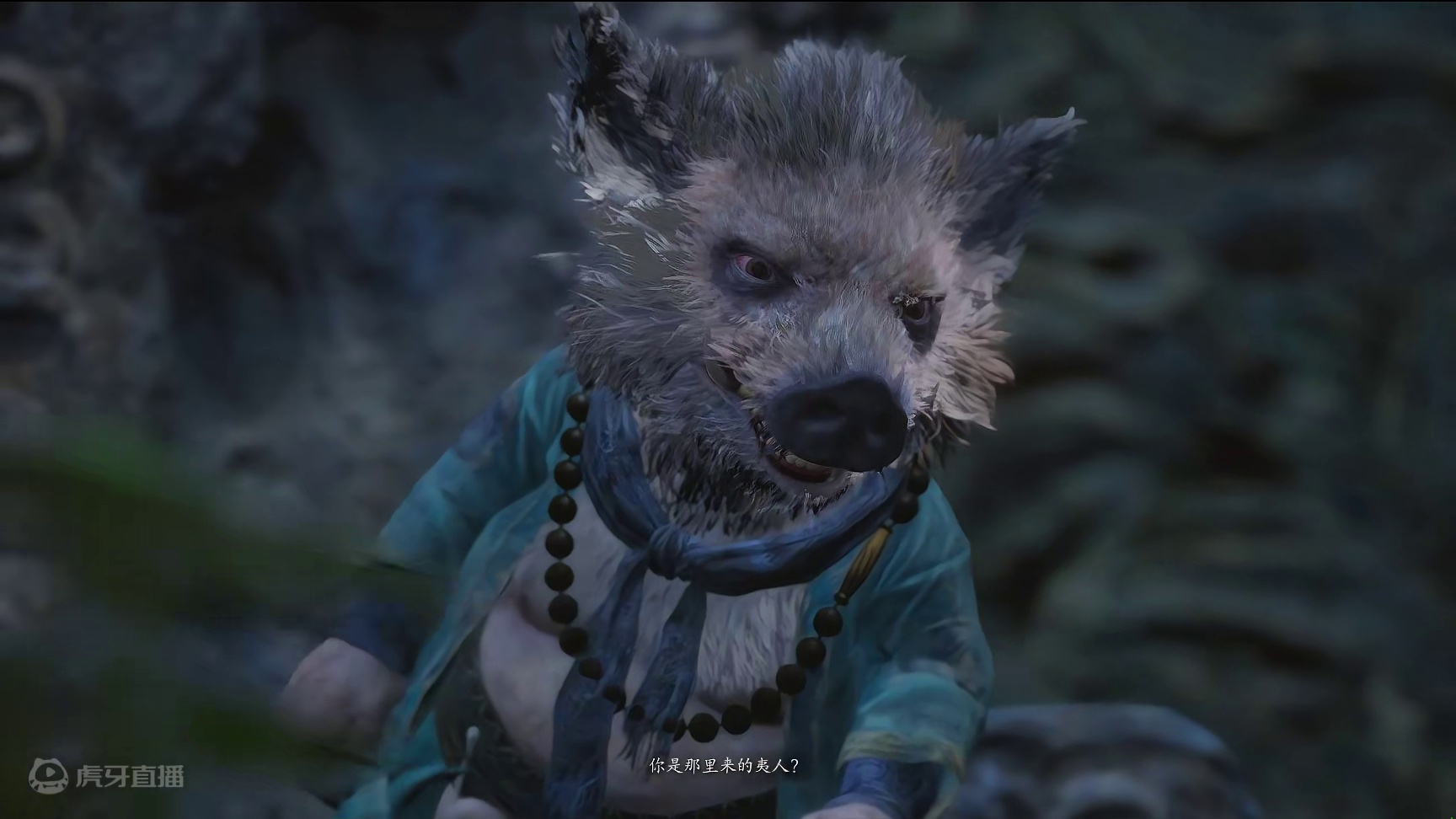 每次看到都有些泪目