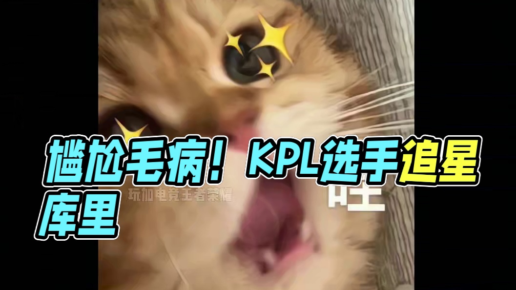 刀口这替人尴尬的毛病啊~ #钎城 #KPL选手追星库里成功