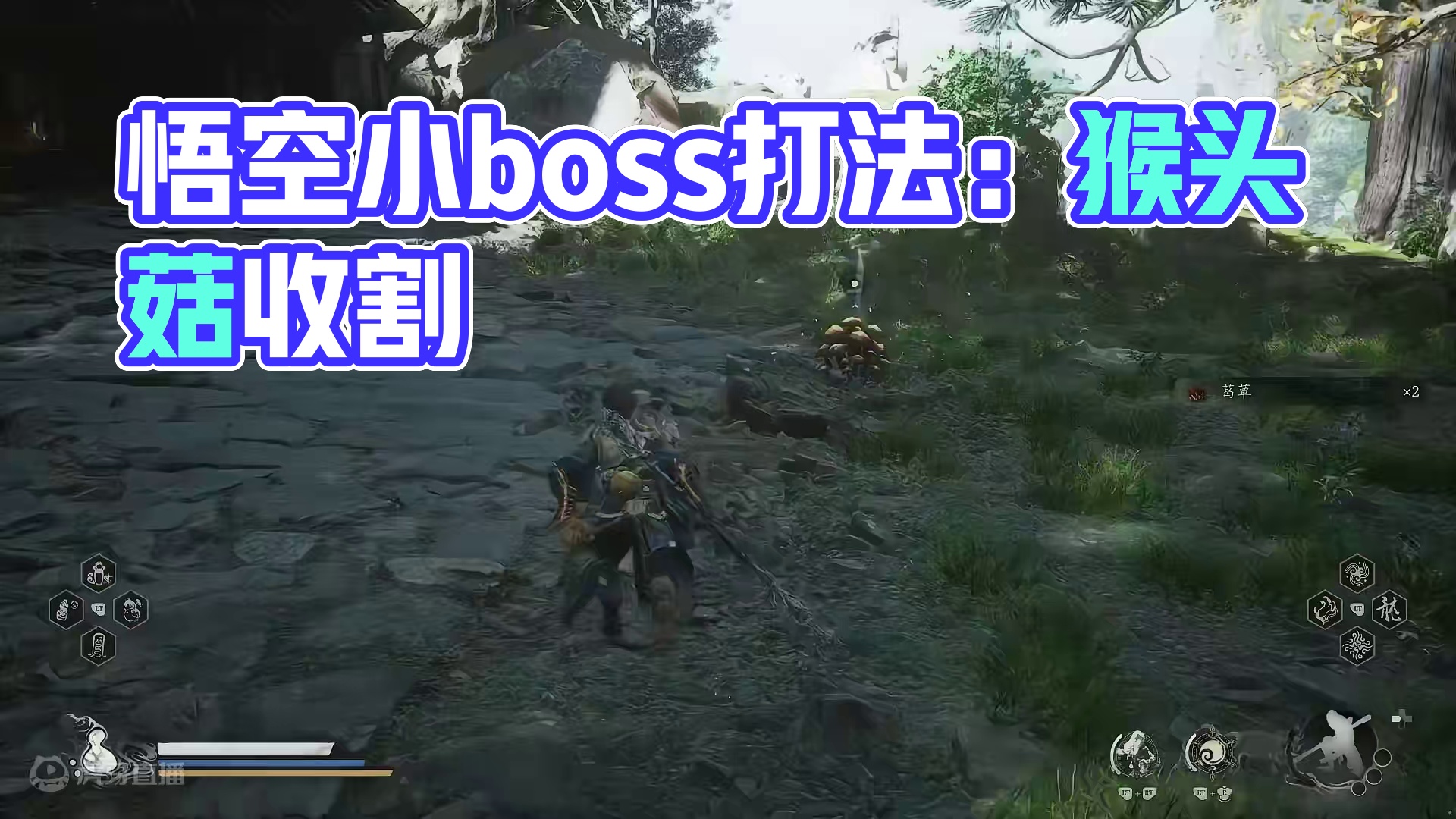 黑神话悟空全boss无伤攻略：蘑女 #黑神话悟空  #黑神话悟空创作激励  #黑神话悟空boss攻略