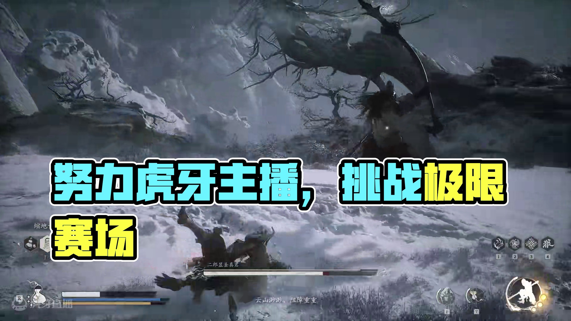 《没有数值，我只看见了汗水和努力》