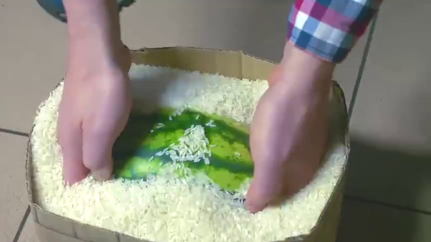 来自大自然的馈赠！