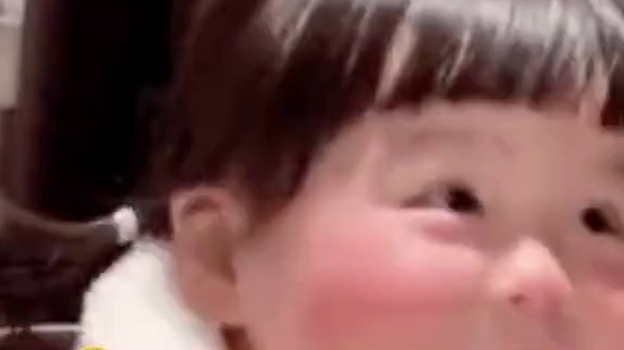 不知道是什么手感，感觉好厚实~ #海豹 #可爱 #动物