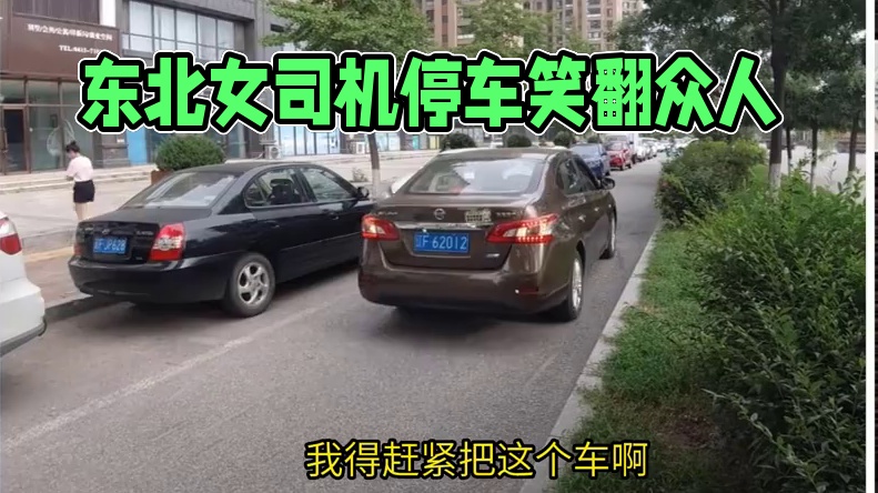东北话搞笑配音，这个女司机停车忘记关车窗 东北话搞笑配音，这个女司机停车忘记关车窗#搞笑配音 #搞笑