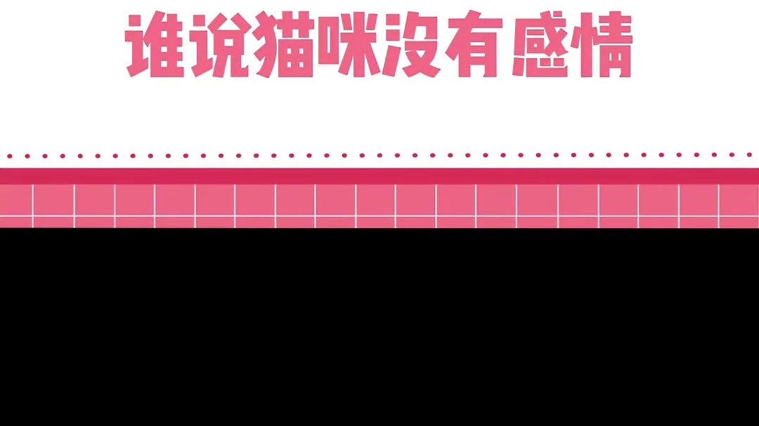 小猫：你只是像他，但你不是他#猫咪 #情感 #我和我的猫 #萌宠出道计划