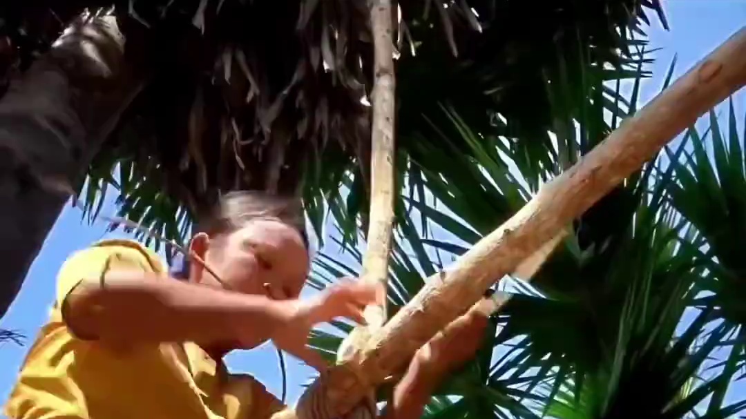 荒野建造树屋野外庇护所。 #荒野建造#野外建造 #庇护所建造 #庇护所搭建 #荒野求生