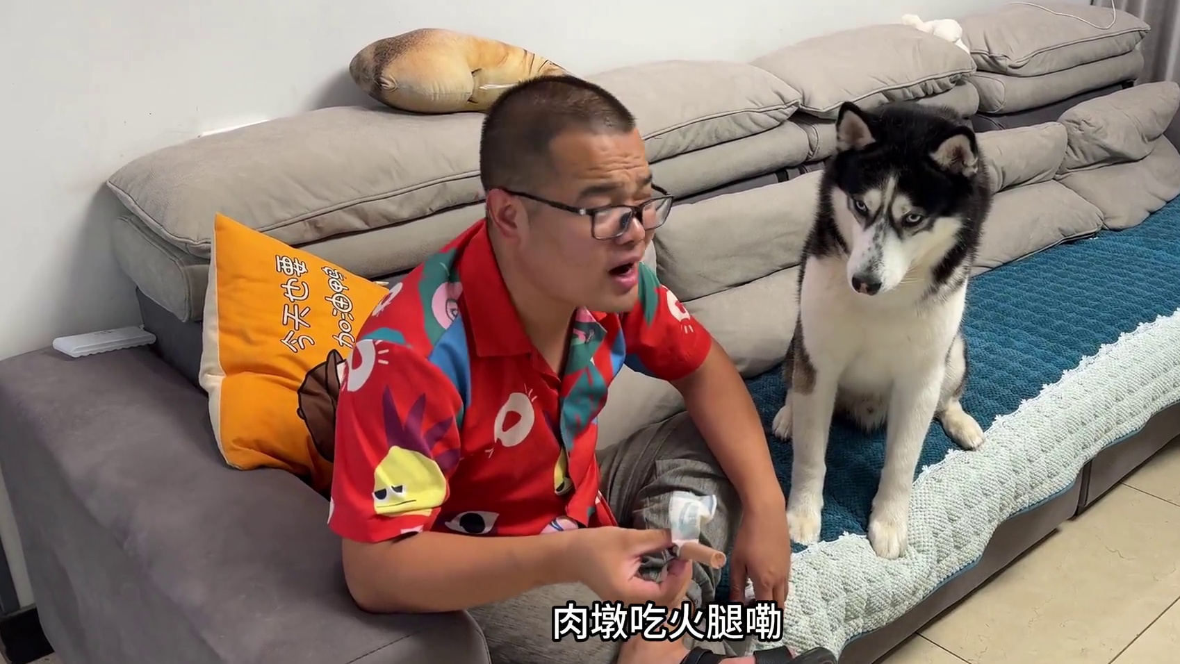 主人吃了狗狗的火腿，还来跟狗狗嘚瑟，气得狗狗上去就是一巴掌 #二哈 #萌宠出道计划 #铲屎官和他的主