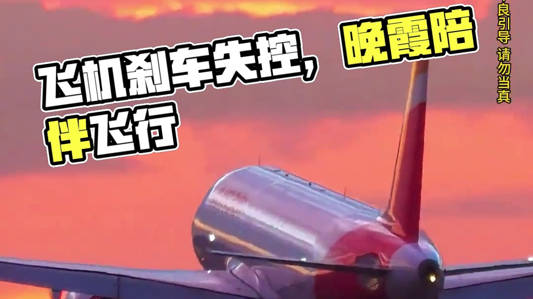 模拟器：飞机落地遭遇奇葩刹车方式，用脸刹车闻所未闻#飞机