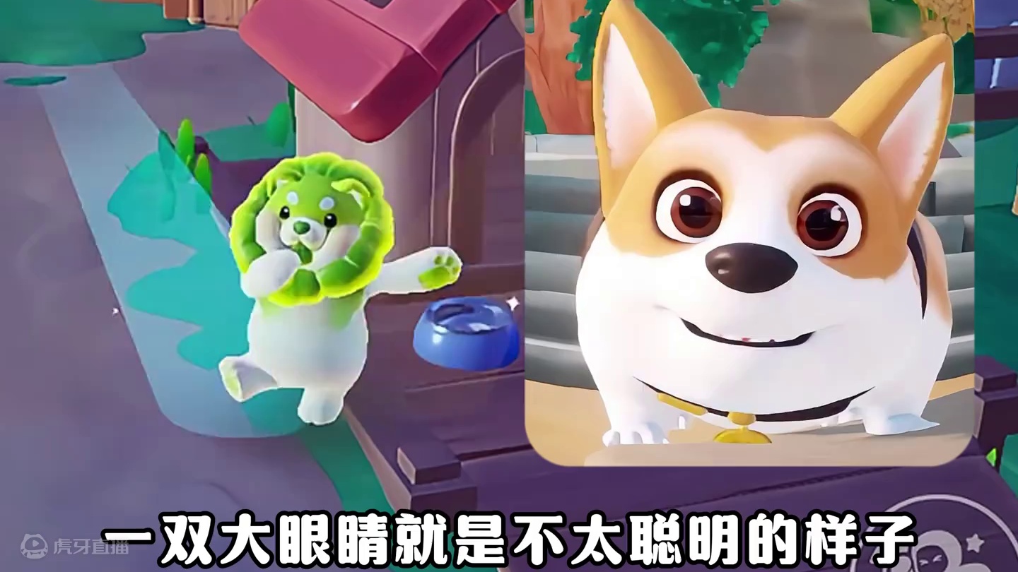 农场即将上线的第一只狗狗是小柯基！！！ #寻找星宝小精灵#元梦之星精灵之森赛季 #月下星宝合拍  #