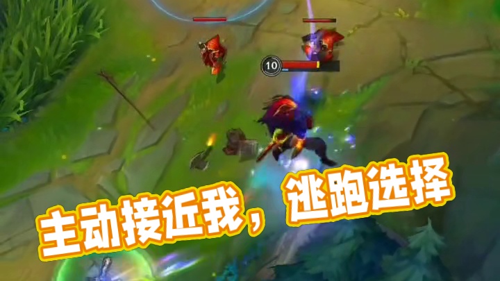 不选择逃跑反而主动接近我吗！