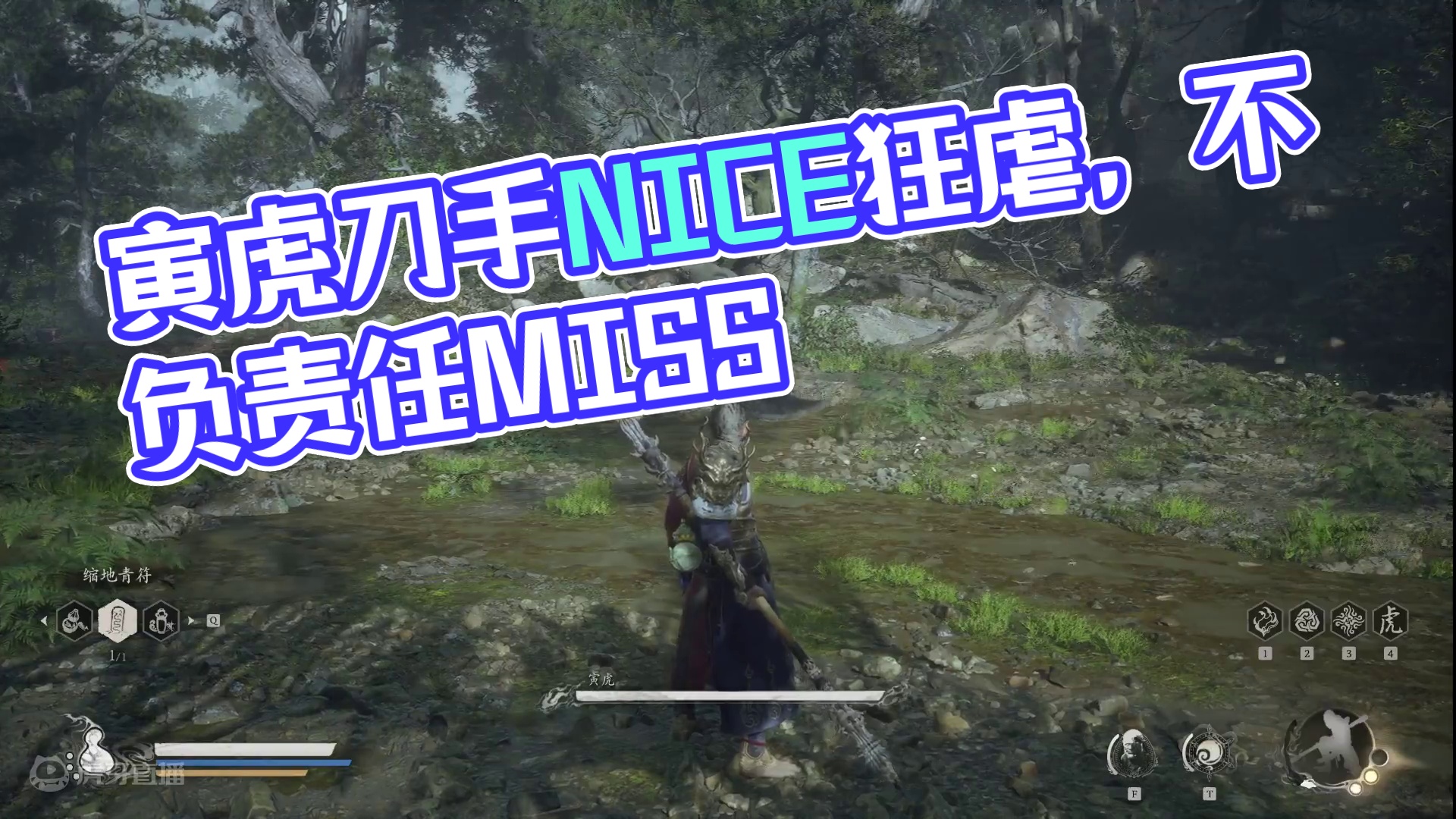 寅虎