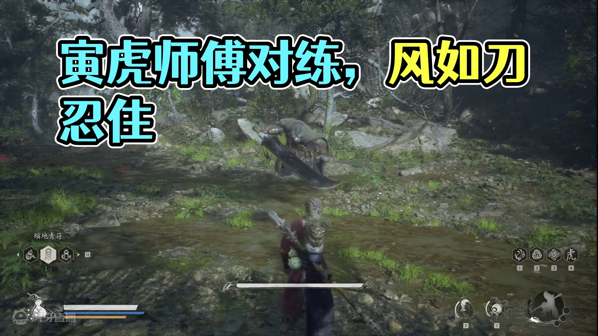 和寅虎师傅对练片段1