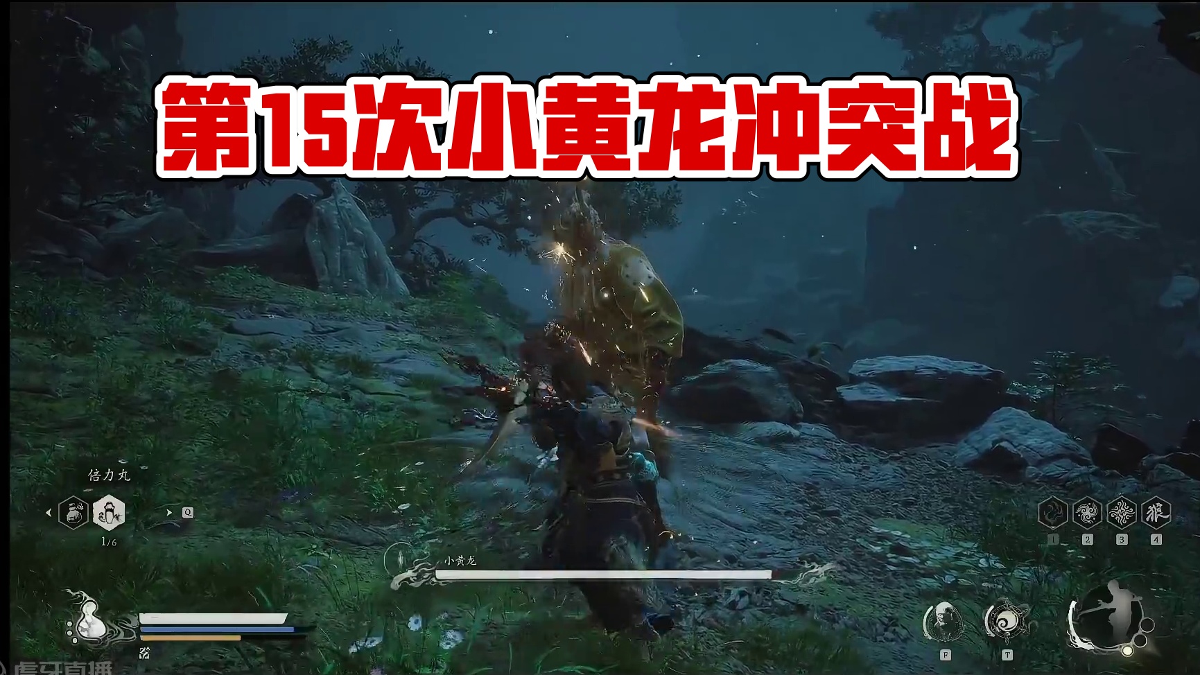 第15次过小黄龙