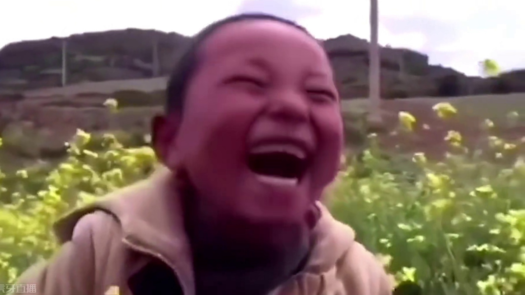 挑战连开一百个鹞彩石，能出几个无限血蛋，我滴个乖乖，亏麻了啊 #妄想山海  #妄想山海鲲鲲福报  #