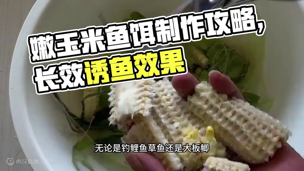 纯干货！嫩玉米钓饵制作独家攻略，实用至上！嫩玉米钓饵制作宝典 纯干货！嫩玉米钓饵制作独家攻略，实用至