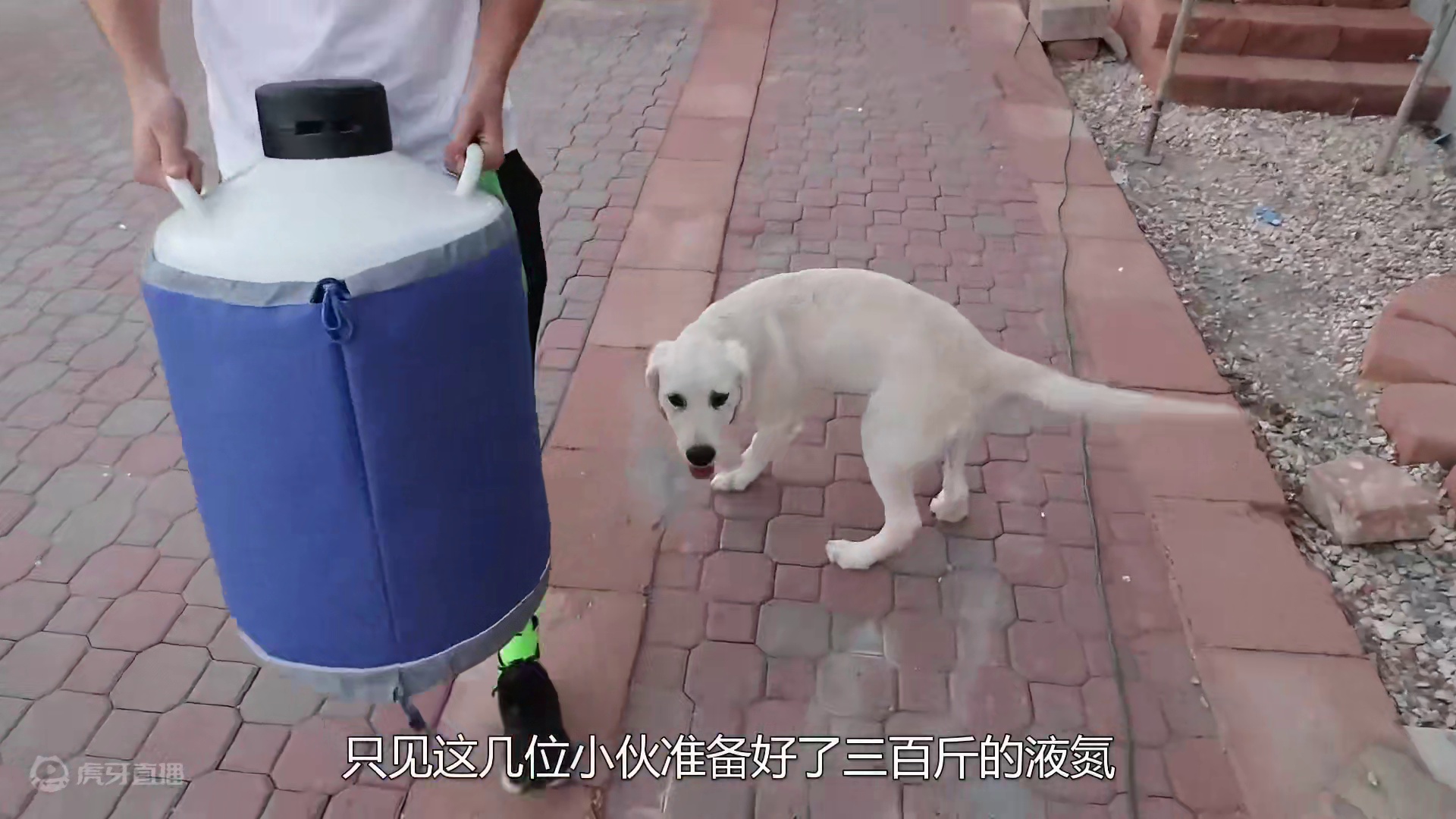 将200斤的干冰倒在湖面上，会发生什么？最后真是大开眼界了！