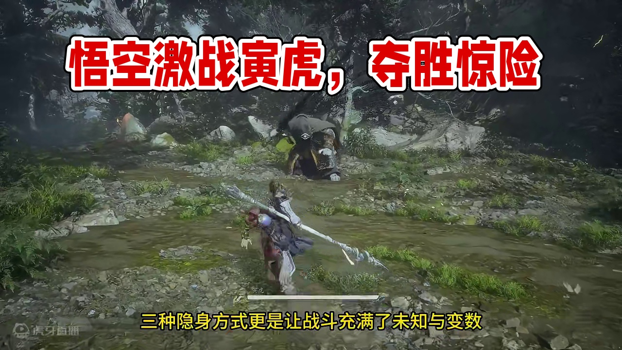 黑神话悟空：激战寅虎惊险夺胜 #黑神话悟空 #steam游戏  #黑神话悟空创作激励