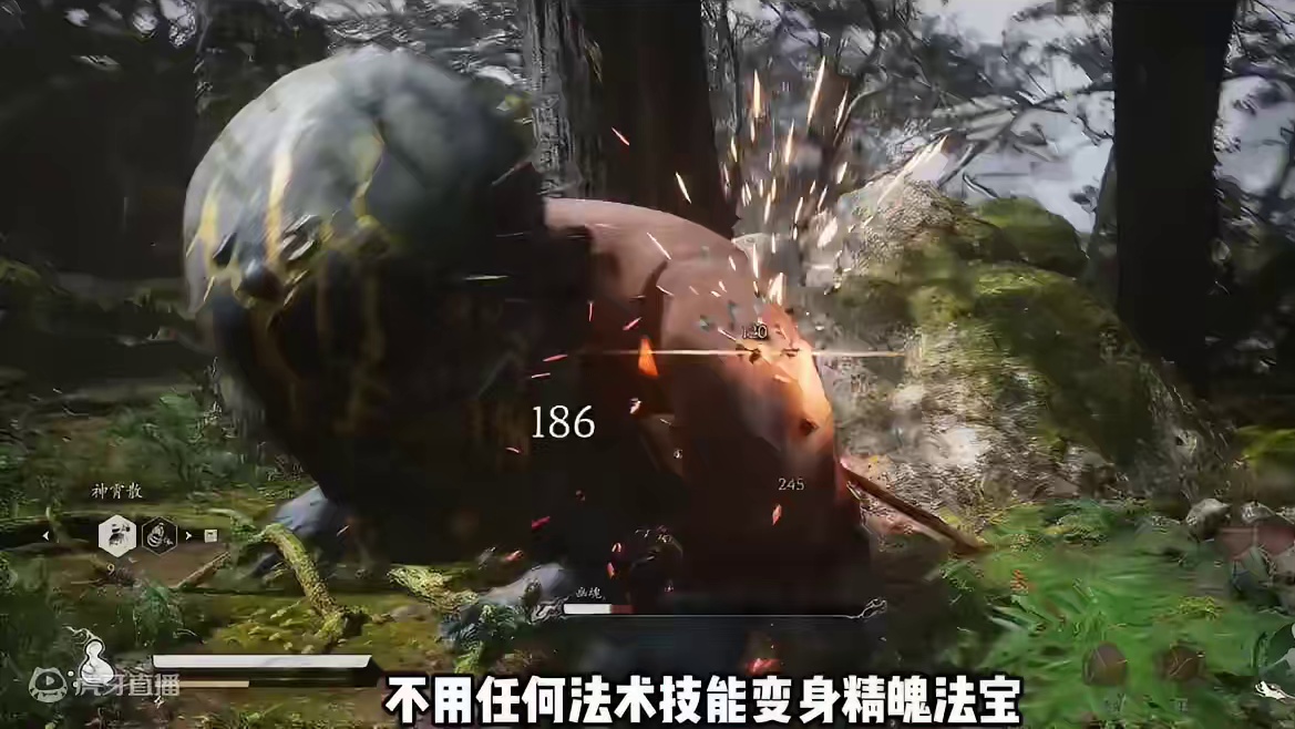 黑神话悟空 不用任何法术技能精魄变身 不喝血 无伤满血通关第一大关所有boss 最后附#黑神话悟空创