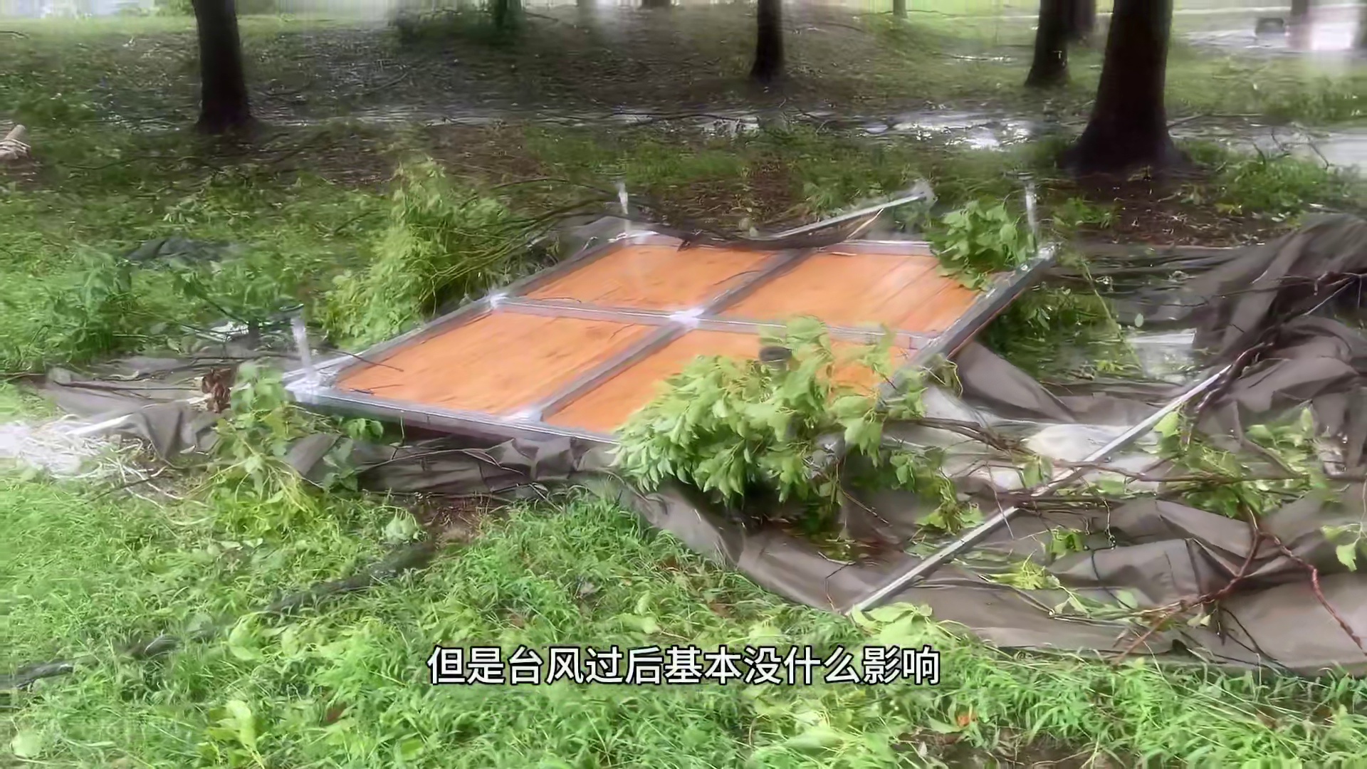 贝碧嘉袭击露营地 #贝碧嘉 #台风 #露营 #贝碧嘉来袭 #贝碧嘉台风