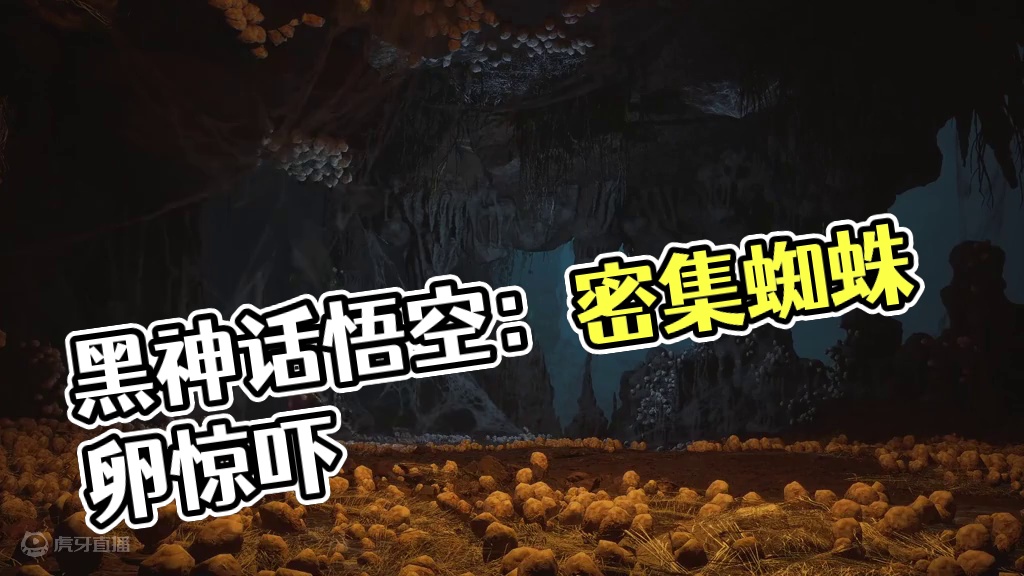 密 集 恐 惧 #黑神话悟空