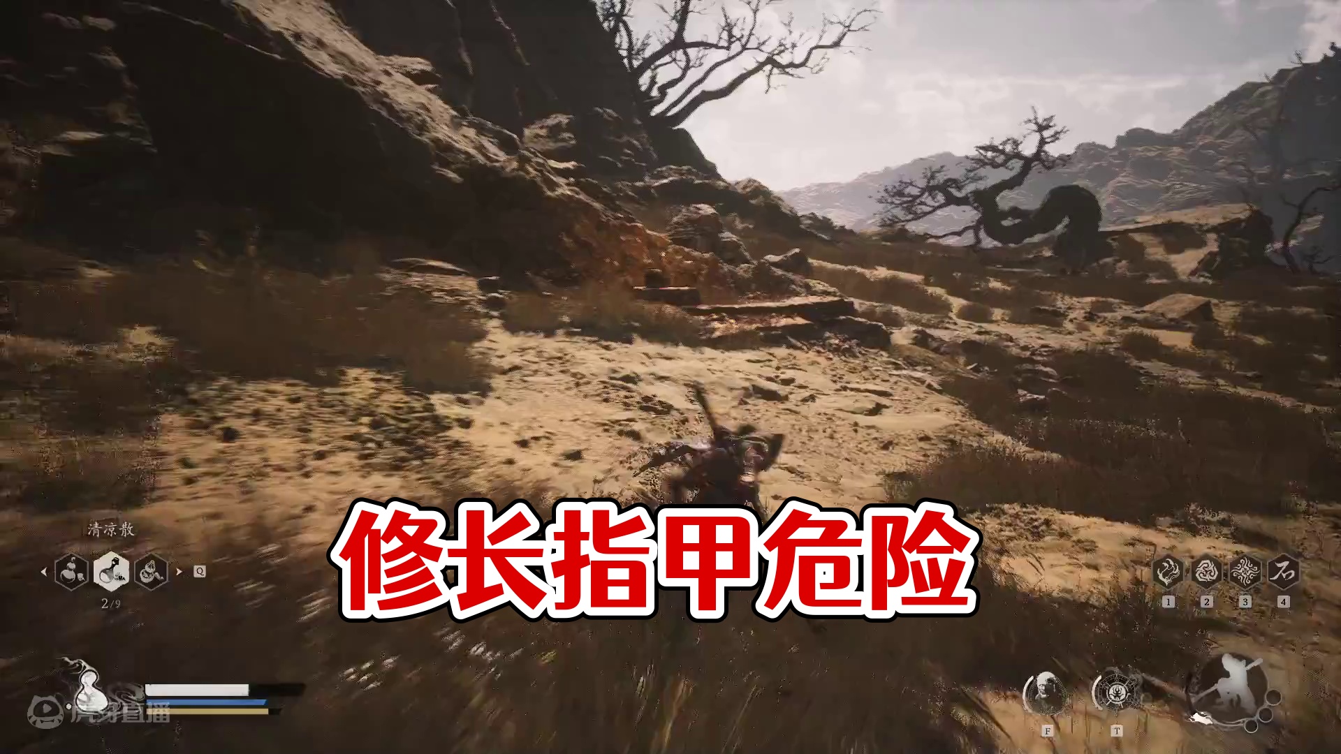 指甲那么长是要修理的