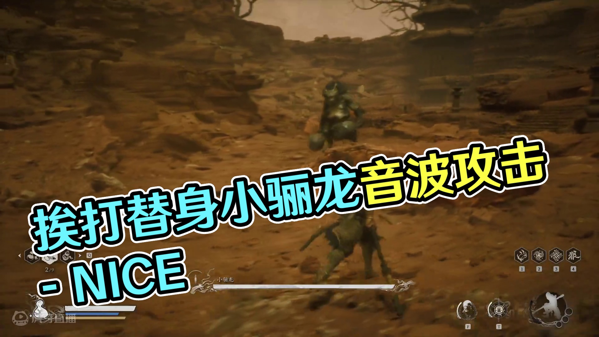 挨打替身，广智承受了太多，小骊龙的音波攻击