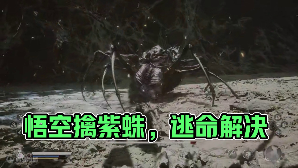 #黑神话悟空 #黑神话 #悟空 紫蛛儿 #黑神话悟空  #黑神话  #悟空  紫蛛儿 #黑神话悟空创