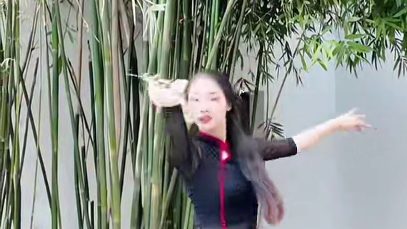 纤纤折杨柳 持此寄情人
#古典舞 #国风古韵 #翻跳