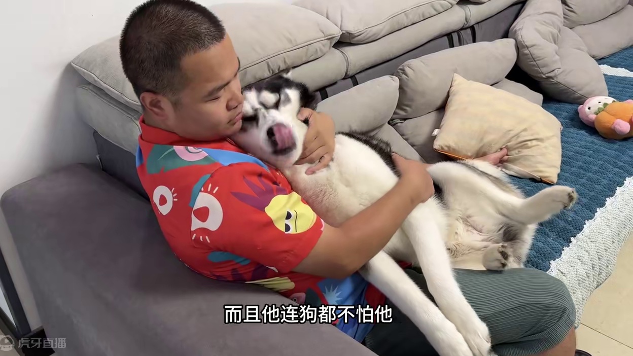 二哈做噩梦惨叫不止，藏在主人怀里求保护，原因竟是因为1只猫 #萌宠出道计划 #二哈 #狗狗的心思都写