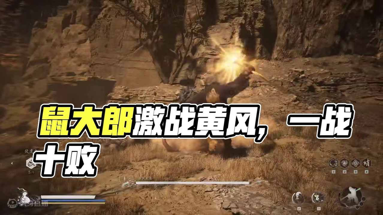 最被忽视的boss-鼠大郎，激战国师黄风大圣，一力降十会。 #黑神话悟空 #黑神话悟空激励 #黄风大
