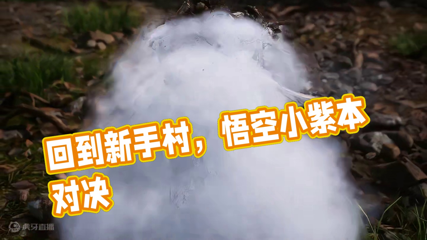 当你通关后再次回到新手村