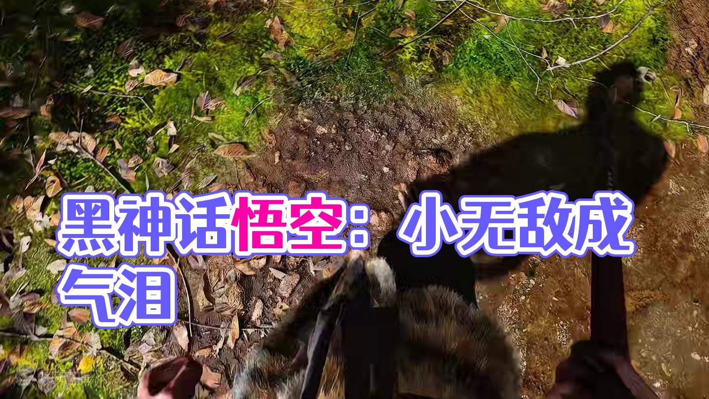 一睡醒我怎么就到这儿了