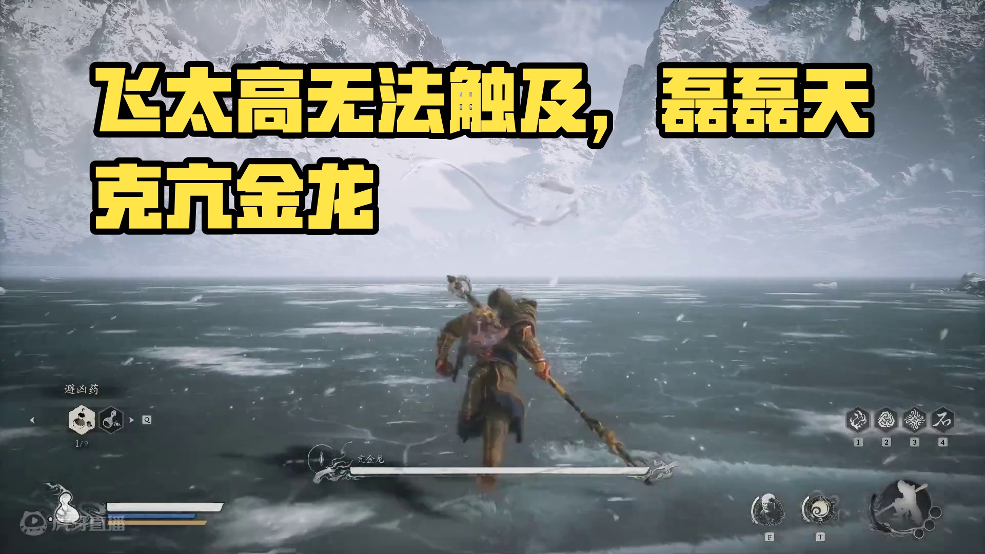 飞太高够不到！磊磊天克亢金龙？