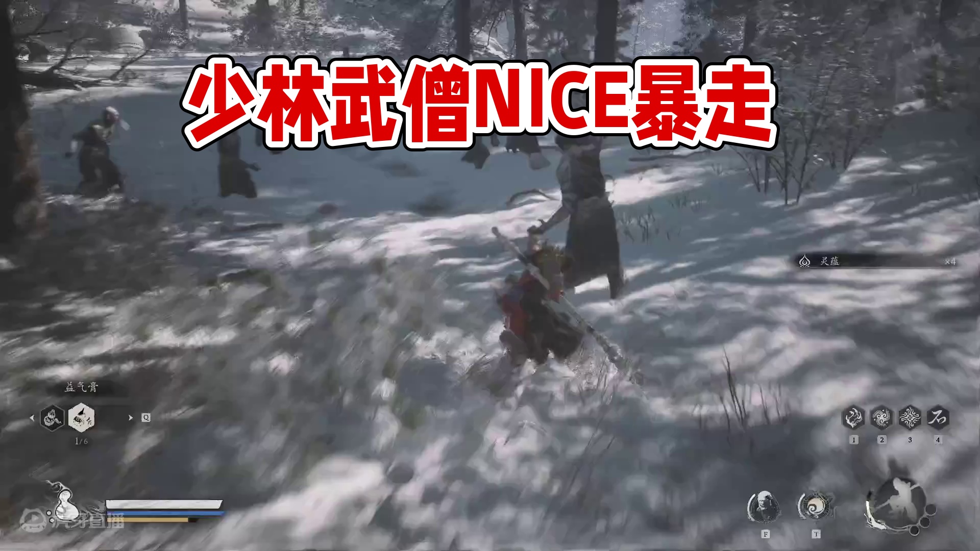 不能应该属于少林武僧了