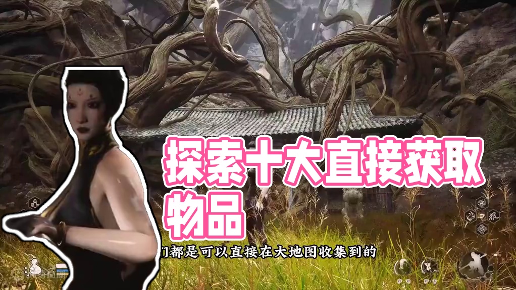 新手玩家跑图探索容易错过的十大直接获取物品，如何补齐全成就？ 开启四大飞龙BOSS支线的要紧道具飞龙