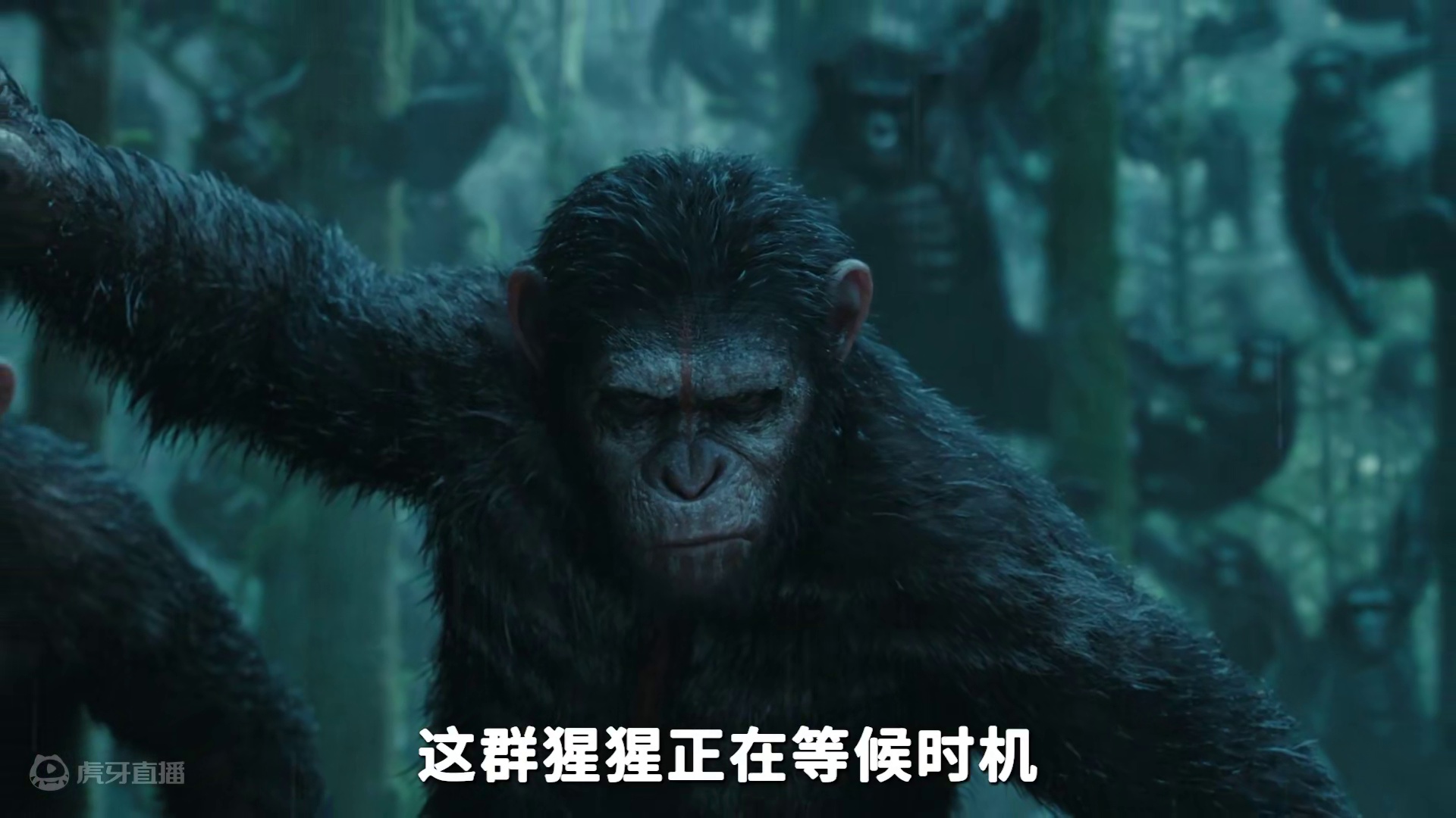 猩猩有了智慧，人类遭遇灾难，双方小心翼翼试探，而战争在所难免