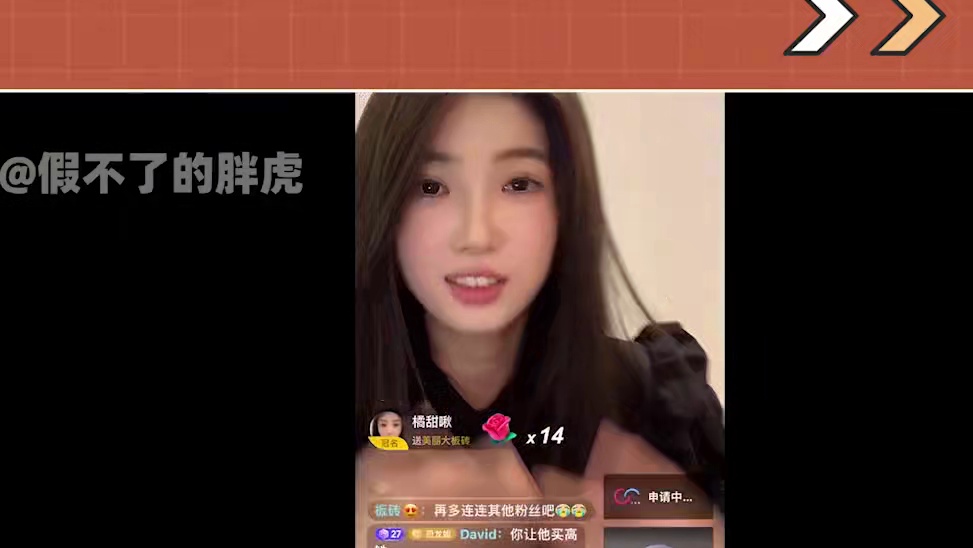 鹏鹏终于开窍了！计划与板砖见面了！