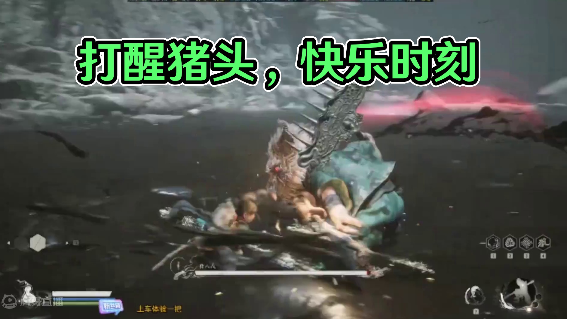 我打醒了这头猪