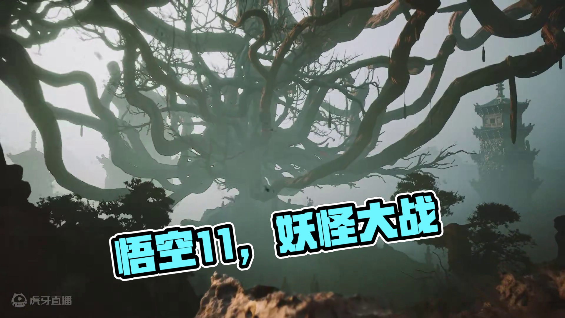 【小黑ai君】黑神话：悟空11