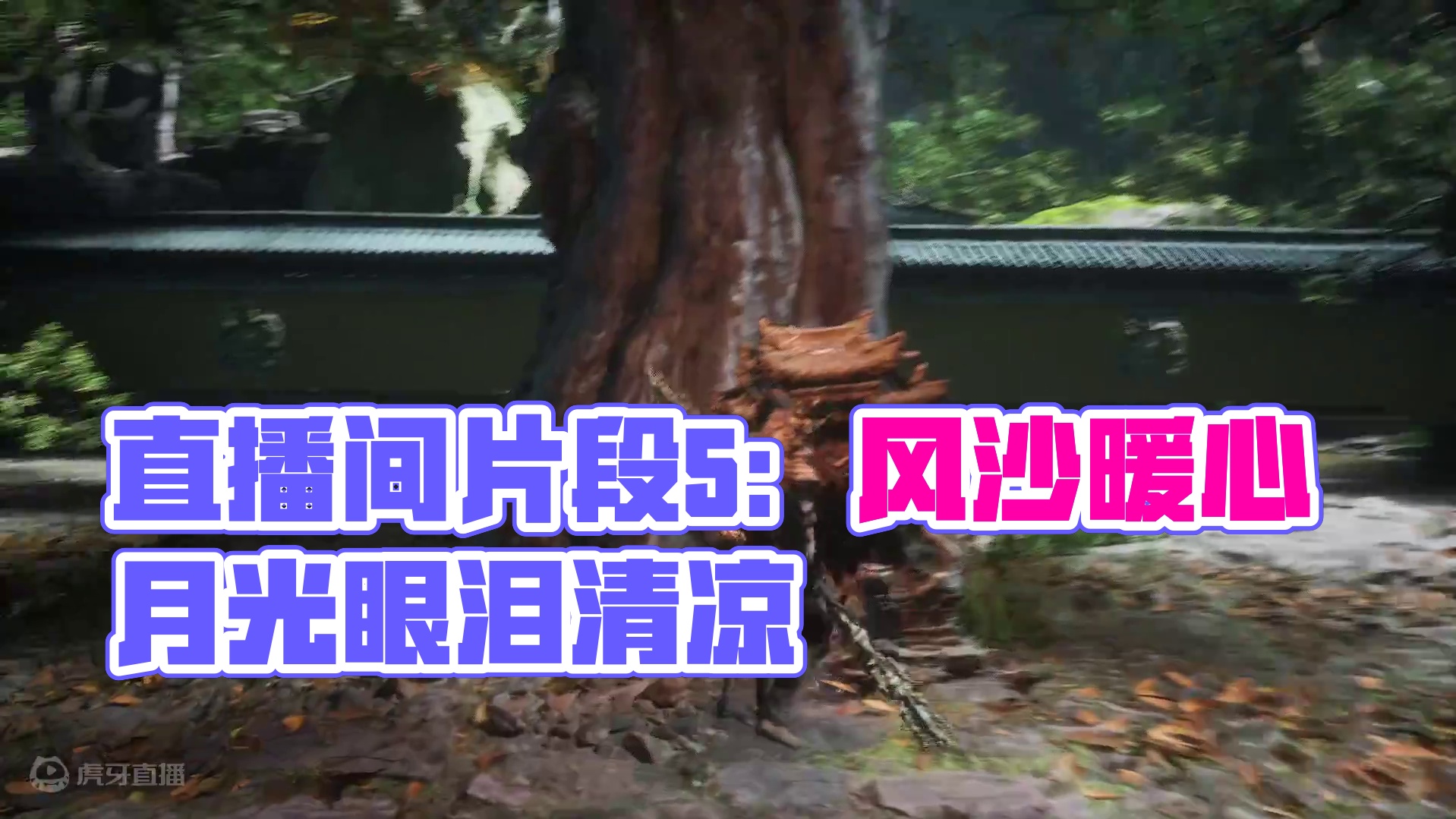 欢迎来到我的直播间片段5