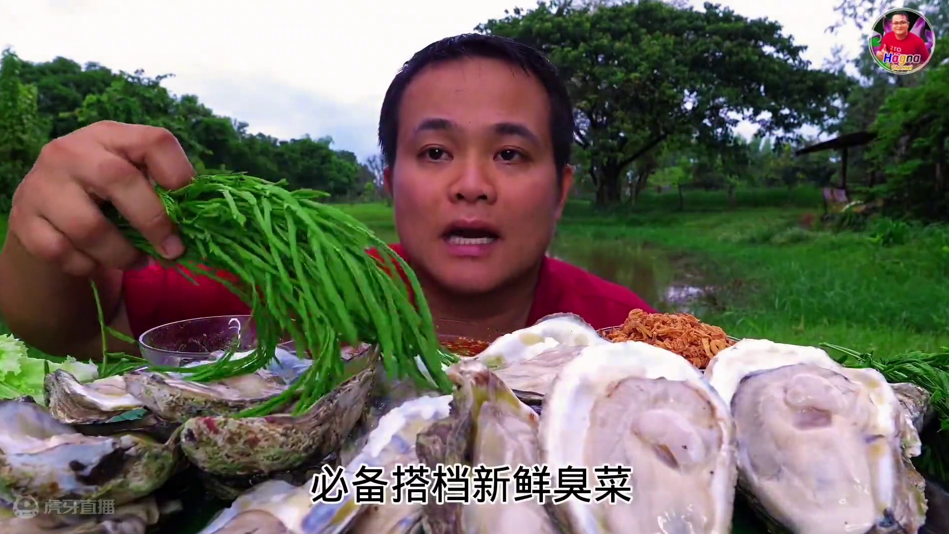 泰国大生蚝酸辣酱汁️新鲜臭菜洋葱碎 #泰国生活 #泰国海鲜  #泰国美食 #泰国主播吃美食视频 #泰