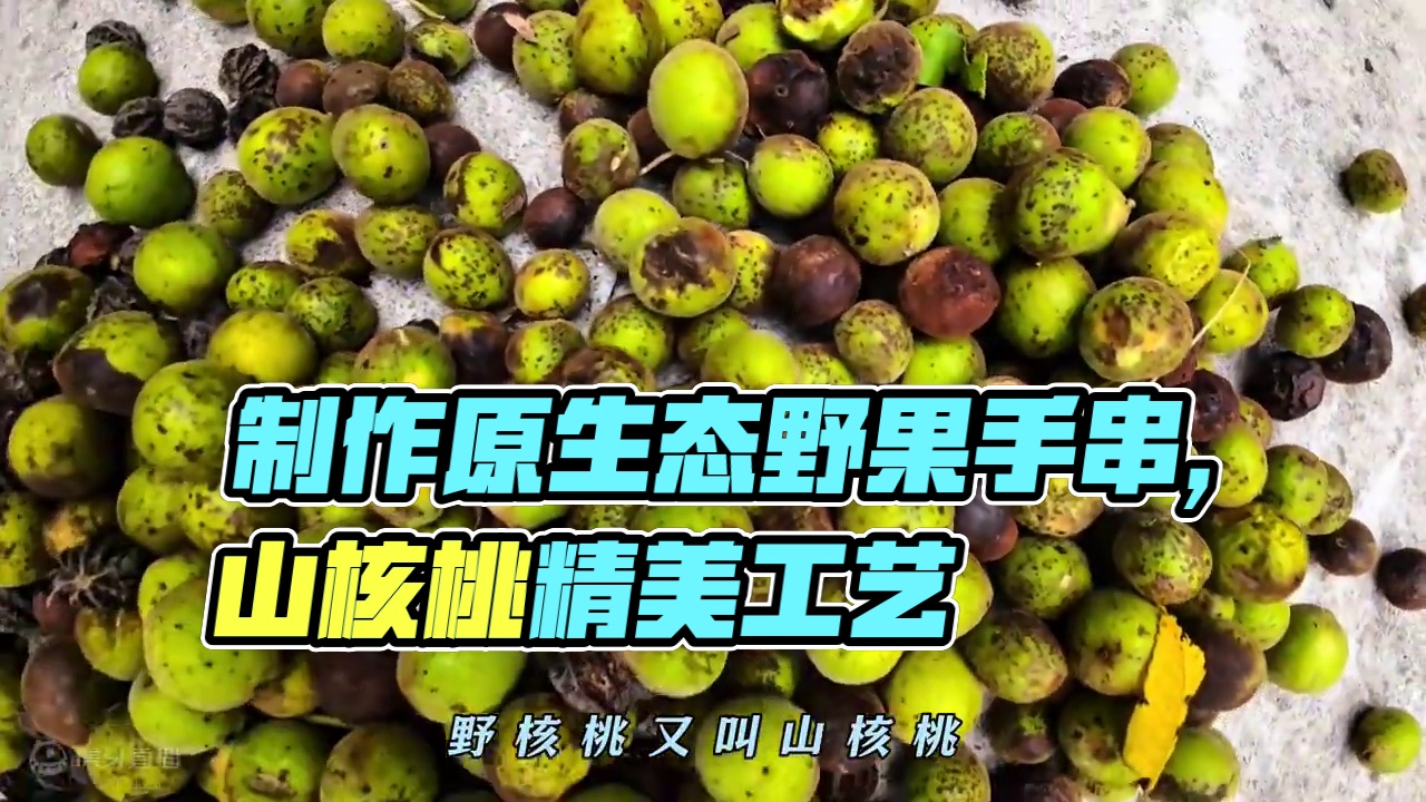 纯天然野生山核桃，制作手把串装饰物的原生态野果，喜欢吗？ 第一次尝试拍植物百科，如有不足，请多包容#