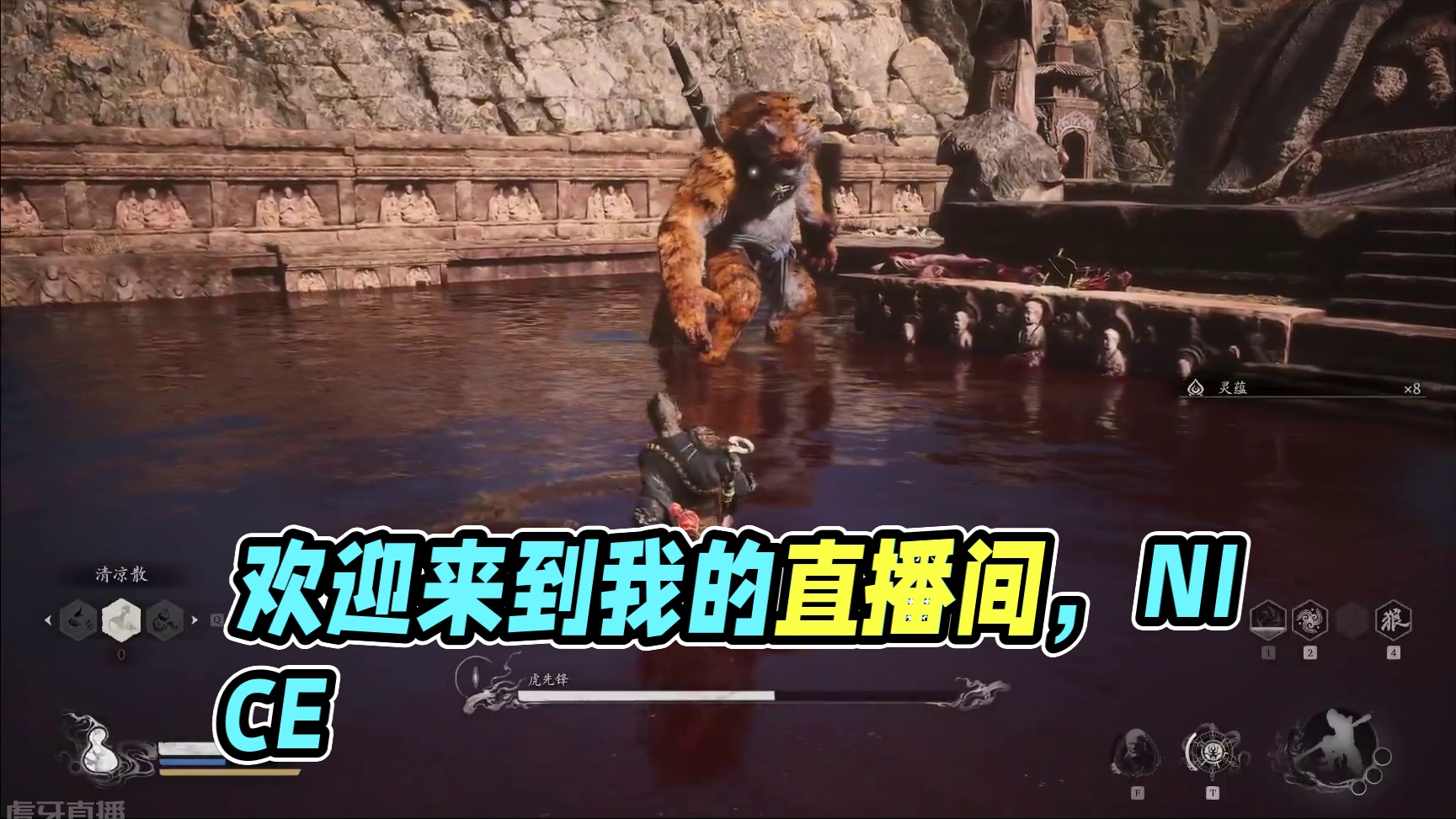 欢迎来到我的直播间片段1