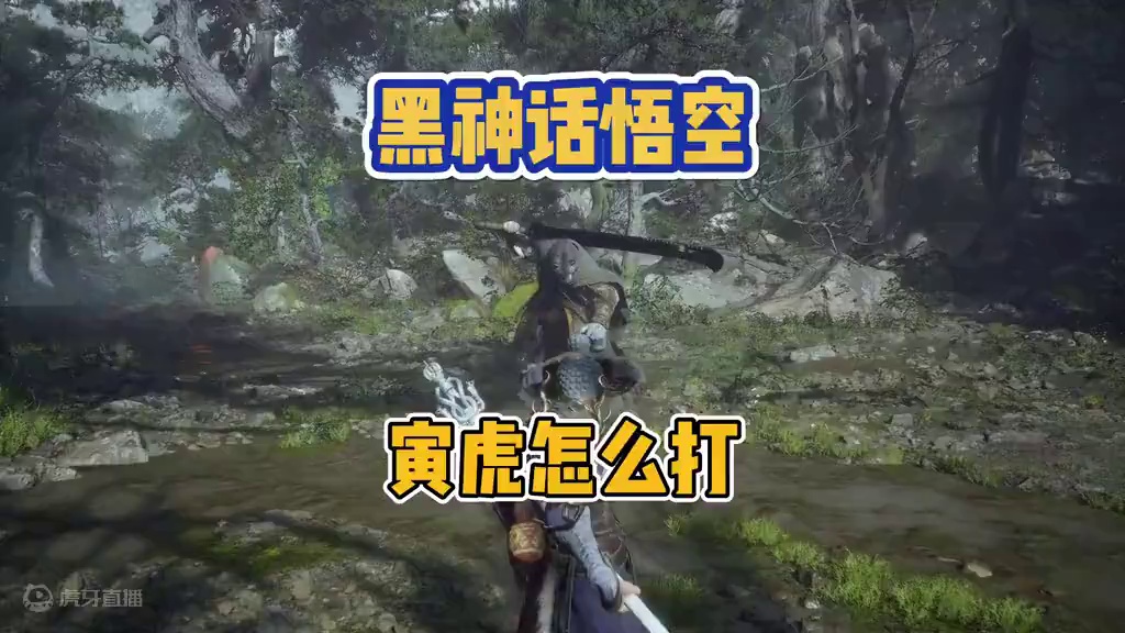 黑神话悟空 寅虎怎么打 打完得珍玩格子 #steam游戏 #我的游戏日常 #黑神话悟空 #寅虎怎么打