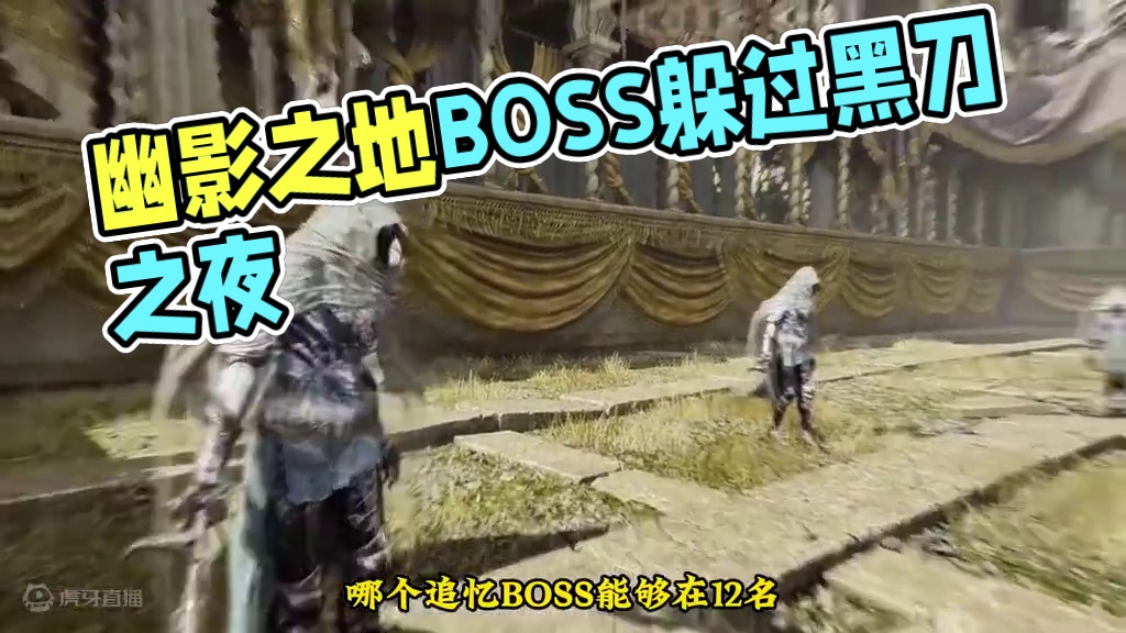 【法环BVB】幽影之地哪个追忆BOSS能够躲过黑刀之夜 #艾尔登法环 12个黑刀刺客对战DLC全追忆