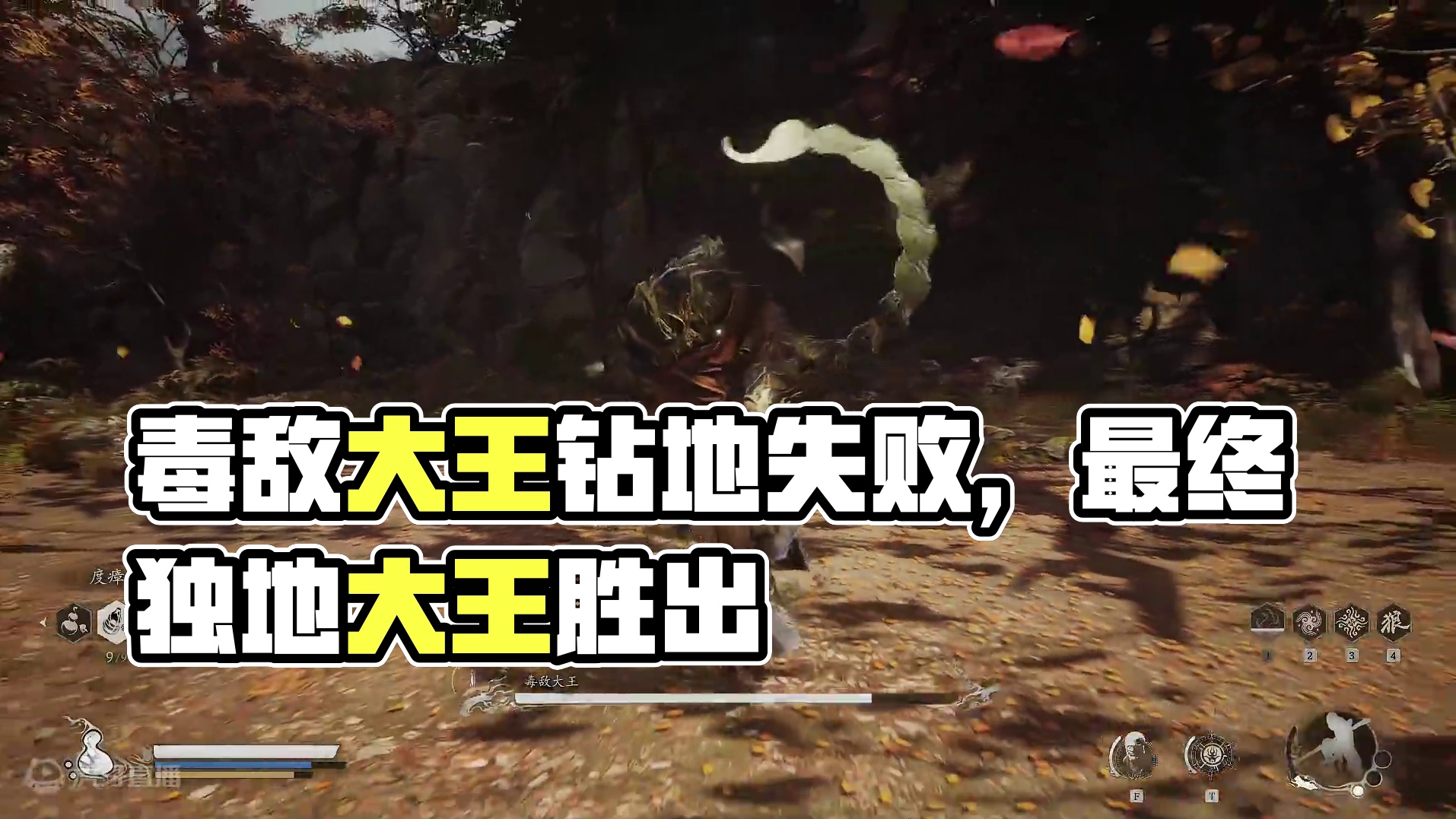 毒敌大王就这？