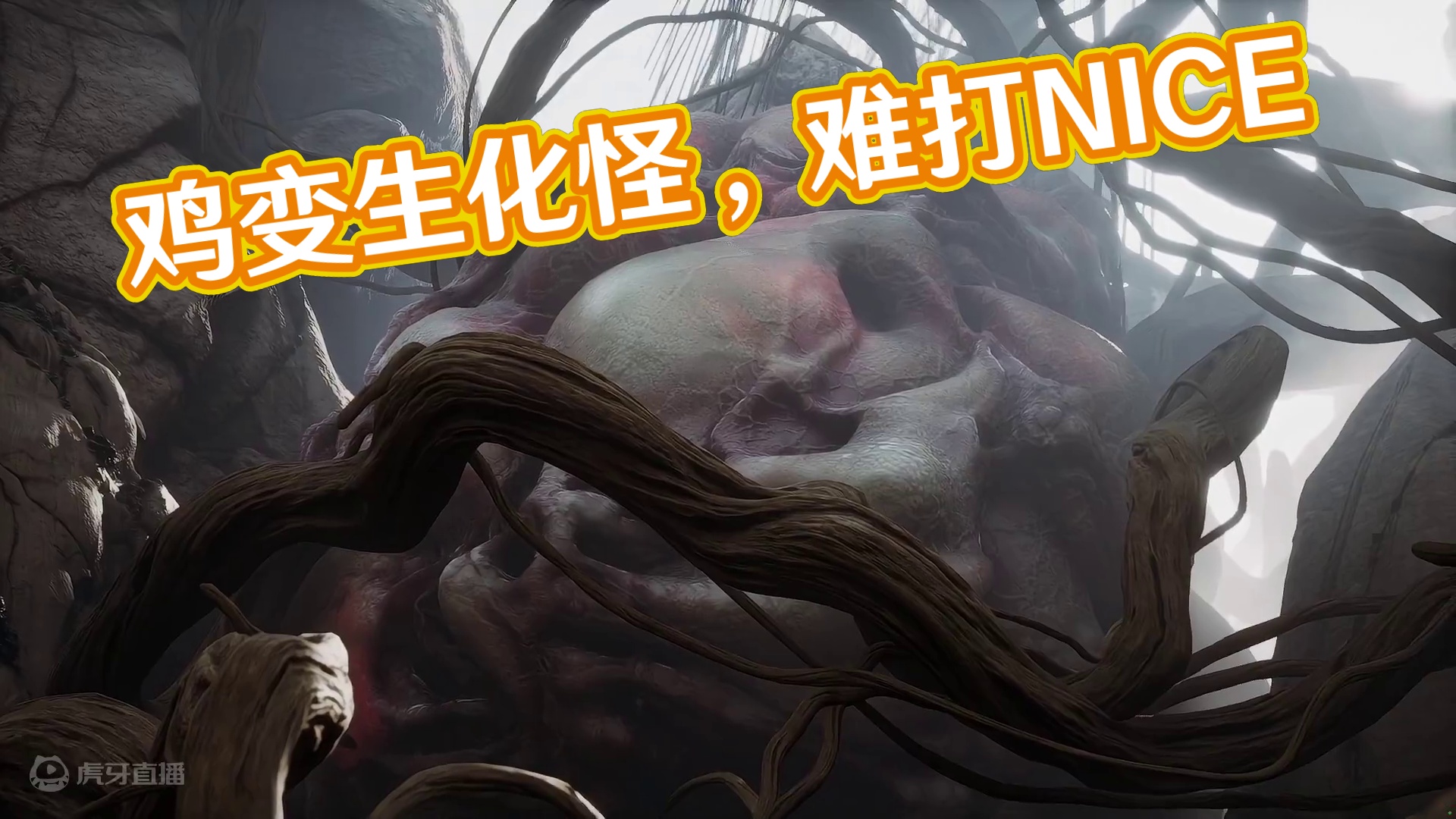 这只鸡能成这样