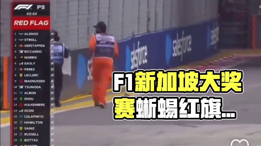2024 F1新加坡大奖赛三练一只蜥蜴而引发了红旗